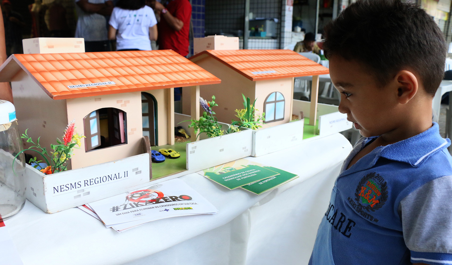 Exposição educativa do ciclo mosquito